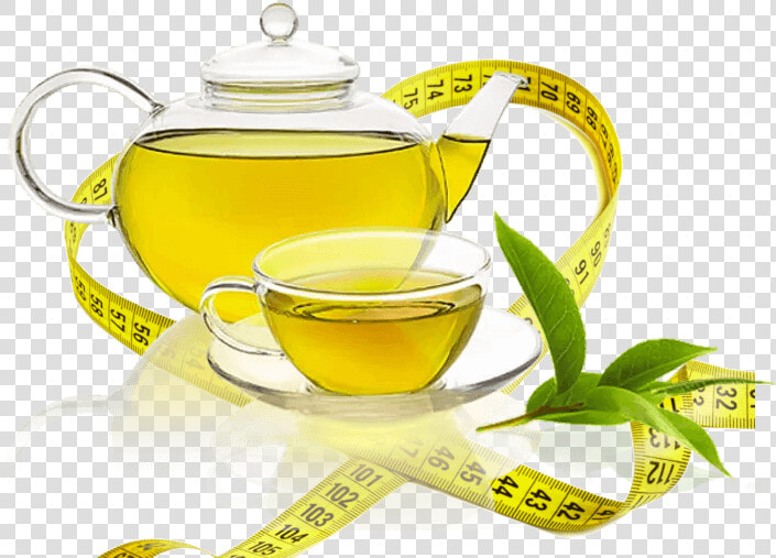 Best Green Tea In India Brands Weight Loss   Epigallocatechin Gallate Egcg  HD Png DownloadTransparent PNG