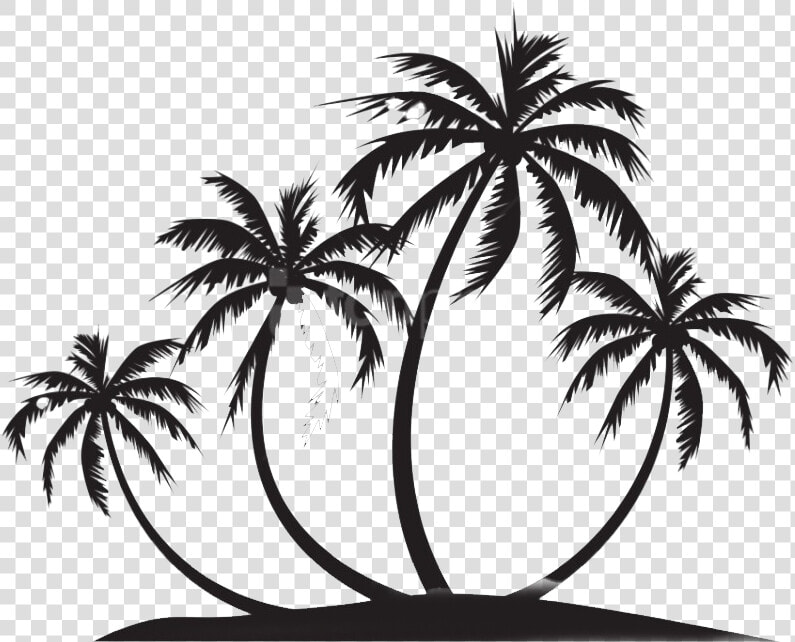 Silhouette Coconut Tree Png Image   Palm Tree Sunset Png Black And White  Transparent PngTransparent PNG