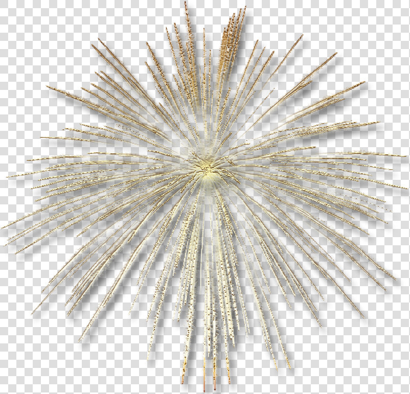 Fireworks Png   Transparent Background Fireworks Gif  Png DownloadTransparent PNG