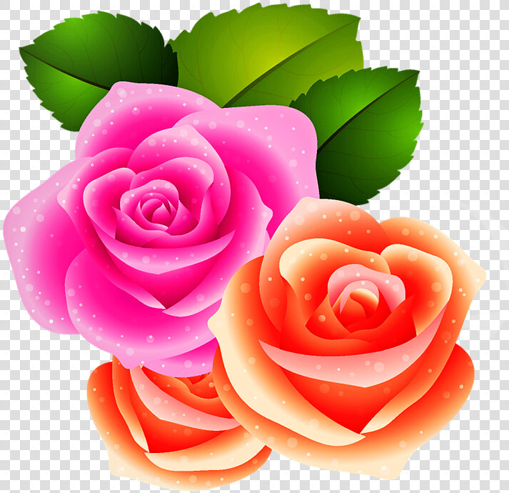 Roses  Flowers  Leaf  Flowering  Bloom  Blossom  Plant   Flor Com Folha Png  Transparent PngTransparent PNG