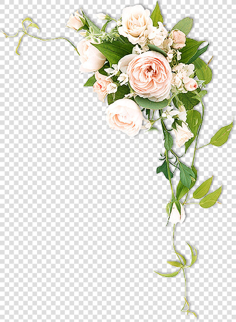 Http     syedimranrocks   Blogspot   In    Png For   Flower Png For Photoshop  Transparent PngTransparent PNG