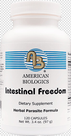 Intestinal Freedom   Stallion  HD Png DownloadTransparent PNG