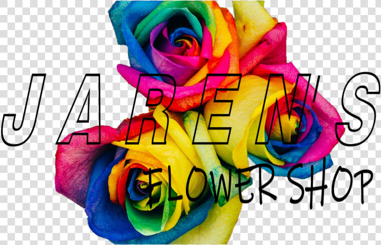 Jaren S Flower Shop   Floribunda  HD Png DownloadTransparent PNG