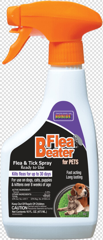 Flea Beater® For Pets   Beagle  HD Png DownloadTransparent PNG