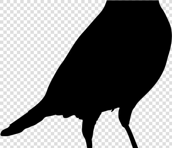 Perching Bird  HD Png DownloadTransparent PNG