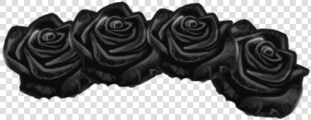 Black Flower Crown   Black Flower Crown Transparent  HD Png DownloadTransparent PNG