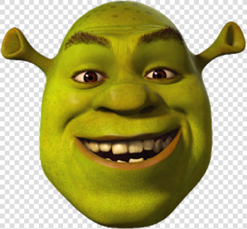 Shrek Meme Dank Mlg Funny Fun   Shrek The Third  HD Png DownloadTransparent PNG