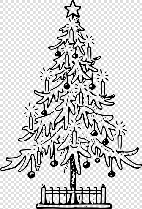 Christmas Christmas Tree Confer   Christmas Tree Drawing Png  Transparent PngTransparent PNG