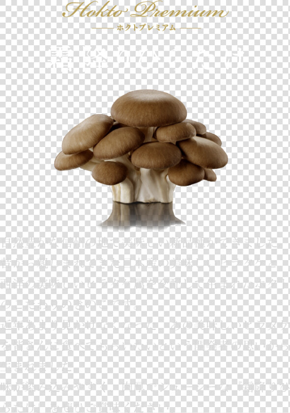 Hokuto Premium Shimofuri Hiratake   Shiitake  HD Png DownloadTransparent PNG