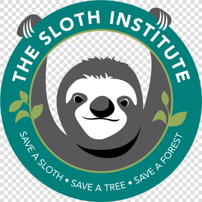 Sloth Institute Sloth  HD Png DownloadTransparent PNG