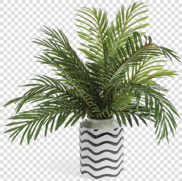 Phoenix Palm Abstract Vase Greenery Arrangement Title   Palm Tree In Vase Png  Transparent PngTransparent PNG