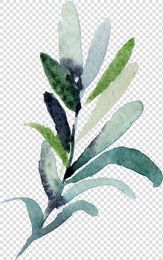 Twigs Png  Transparent PngTransparent PNG