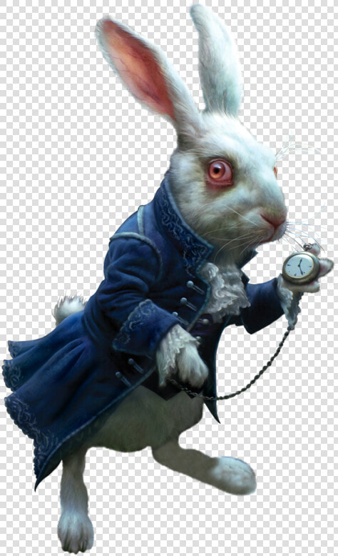 Alice In Wonderland Rabbit Png Page   Alice In Wonderland Rabbit Png  Transparent PngTransparent PNG