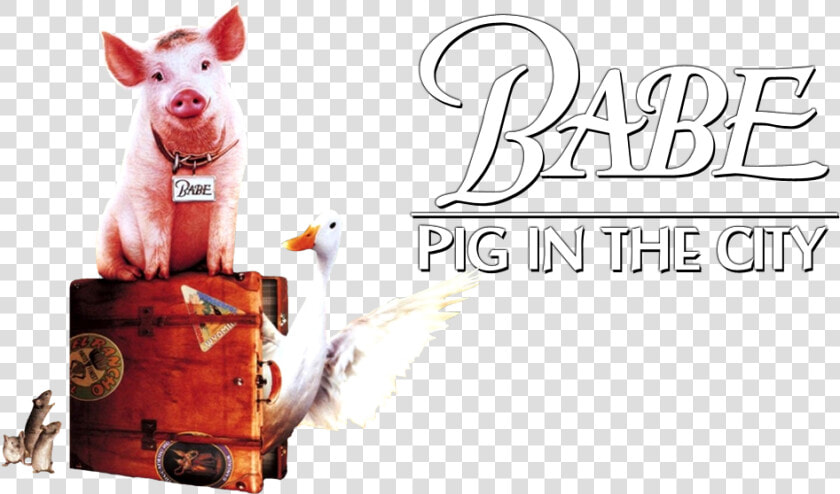 Transparent Babe Png   Babe Pig In The City Png  Png DownloadTransparent PNG