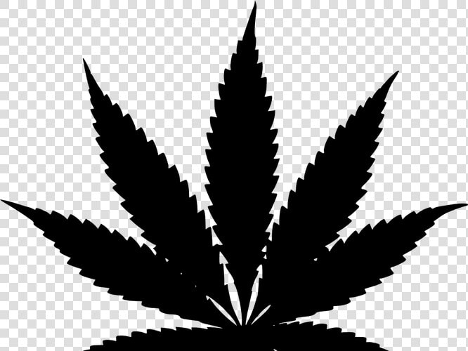 Transparent Weed Bud Png   Marijuana Leaf Vector Png  Png DownloadTransparent PNG