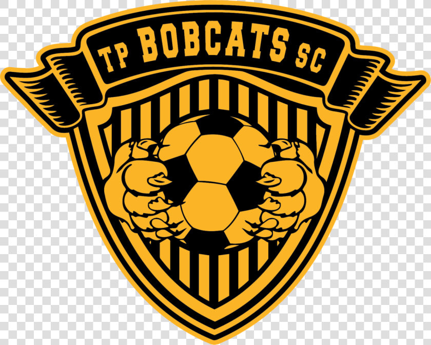 Tinley Park Soccer Club  HD Png DownloadTransparent PNG