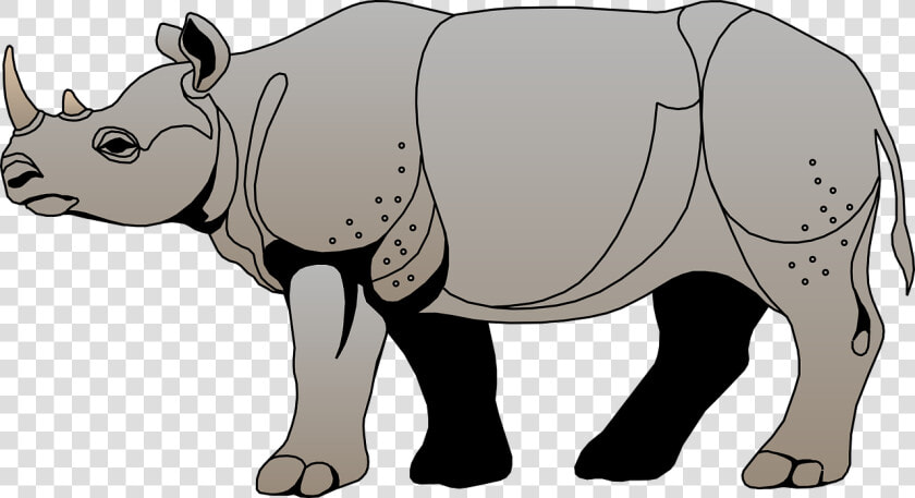 Clipart Rhinoceros  HD Png DownloadTransparent PNG