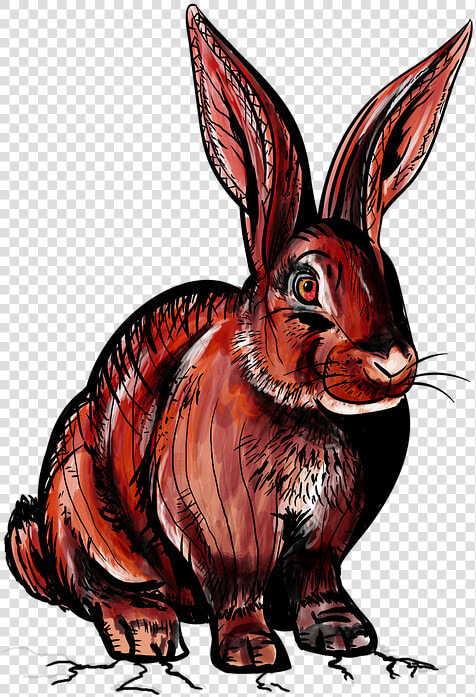 Rabbit  Wild Rabbit  Red  Bunny  Animal  Wild  Devil  HD Png DownloadTransparent PNG