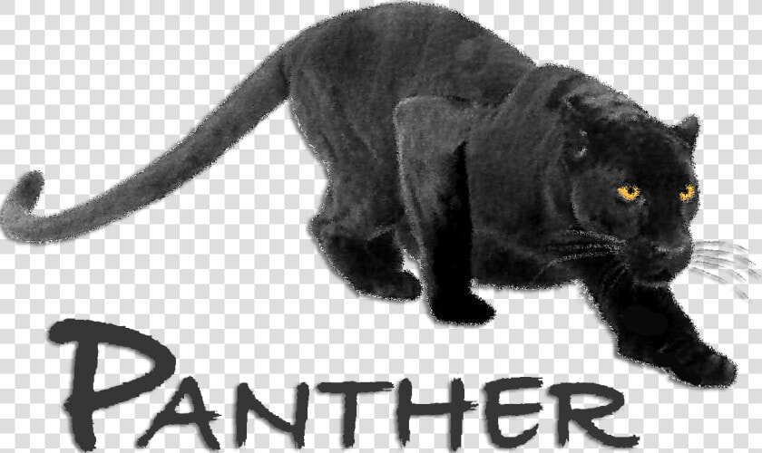 Transparent Panther Head Png   Black Panther Animal Crouching  Png DownloadTransparent PNG