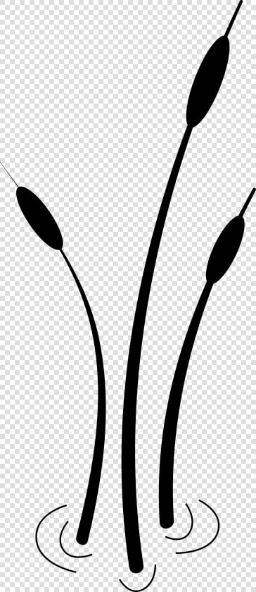 Cattail Globe Algae Clip Art  HD Png DownloadTransparent PNG