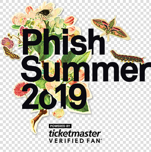 Phish Summer Tour 2019  HD Png DownloadTransparent PNG