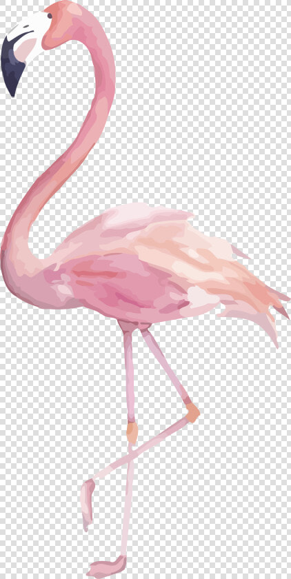 Flamingo Png Image Transparent Flamingo Clipart Watercolor   Watercolor Flamingo Clipart  Png DownloadTransparent PNG