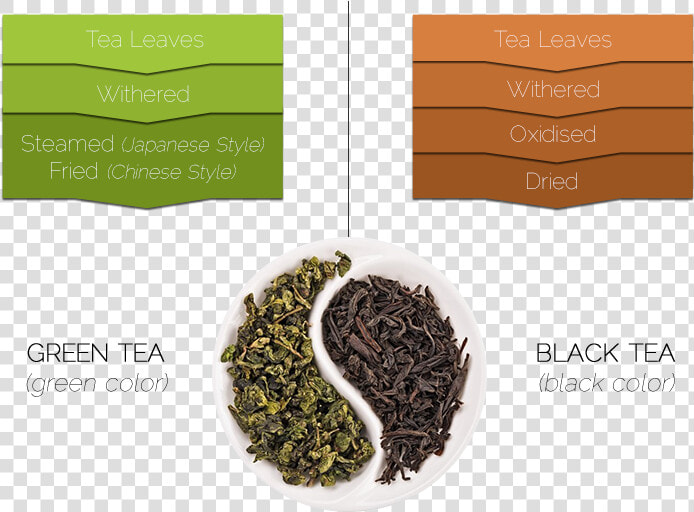 Green Tea Leaves Vs Black Tea Leaves  HD Png DownloadTransparent PNG