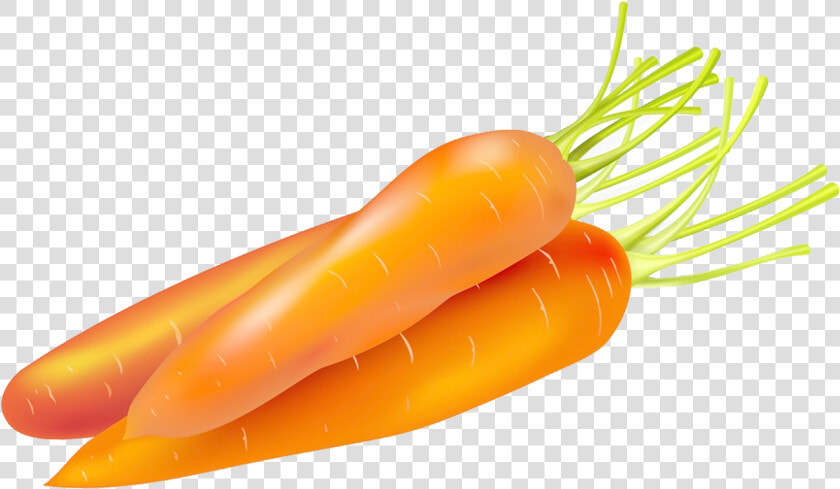 Carrot Cake Food Vegetable   Carrots Vector Png  Transparent PngTransparent PNG