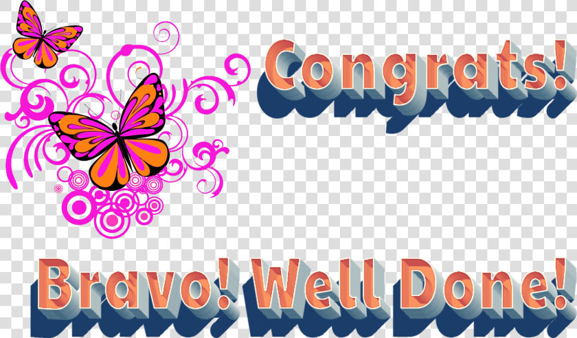 Congrats Bravo Well Done Png Image File   Brush footed Butterfly  Transparent PngTransparent PNG