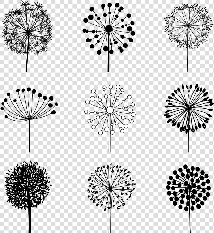 Dandelion Vector Png   Png Download   Dandelion Vector Logo  Transparent PngTransparent PNG