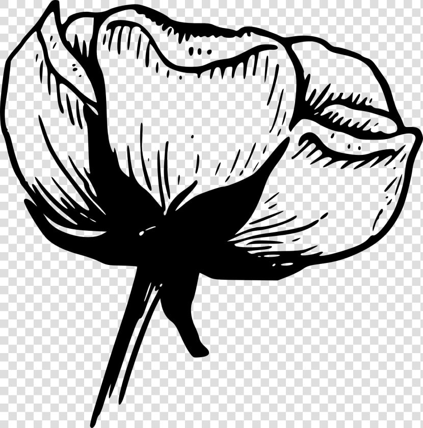 Flower Black And White Black And White Flower Border   Black And White Photo Simple  HD Png DownloadTransparent PNG