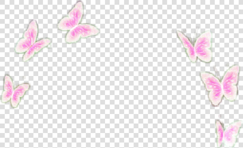  pink  butterflies  butterfly  overly  filter  crownn   Butterfly Filter Transparent  HD Png DownloadTransparent PNG