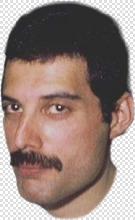 Freddie Mercury Png   Transparent Freddie Mercury Face Png  Png DownloadTransparent PNG