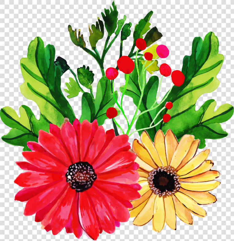 Barberton Daisy  HD Png DownloadTransparent PNG