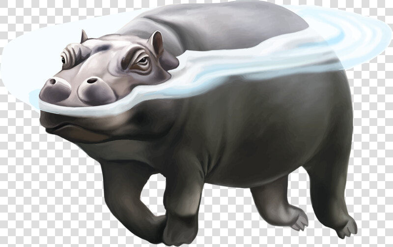 Hippo Png Picture  Transparent PngTransparent PNG