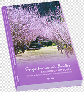 Frequencias De Brilho Livro  HD Png DownloadTransparent PNG