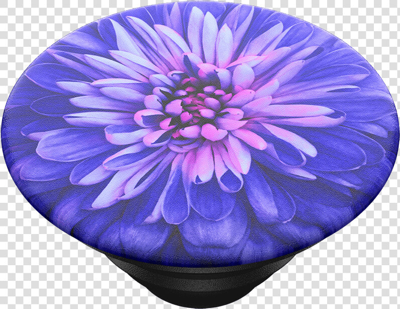 Be A Dahlia  Popsockets   Popsockets  HD Png DownloadTransparent PNG