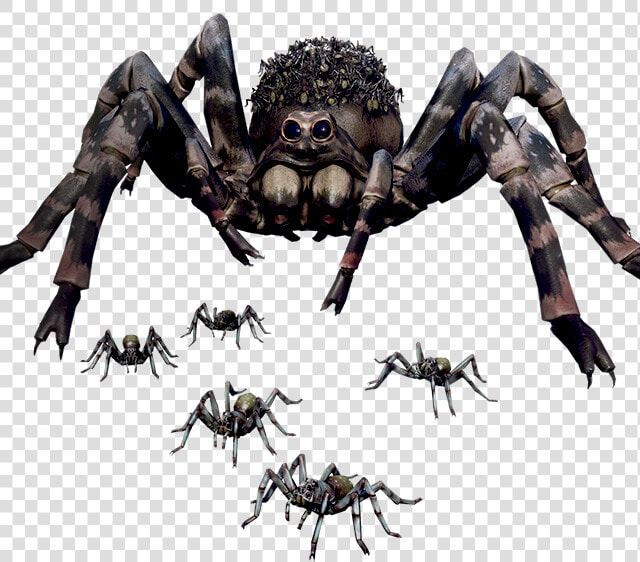 Earth Defense Force Spiders  HD Png DownloadTransparent PNG