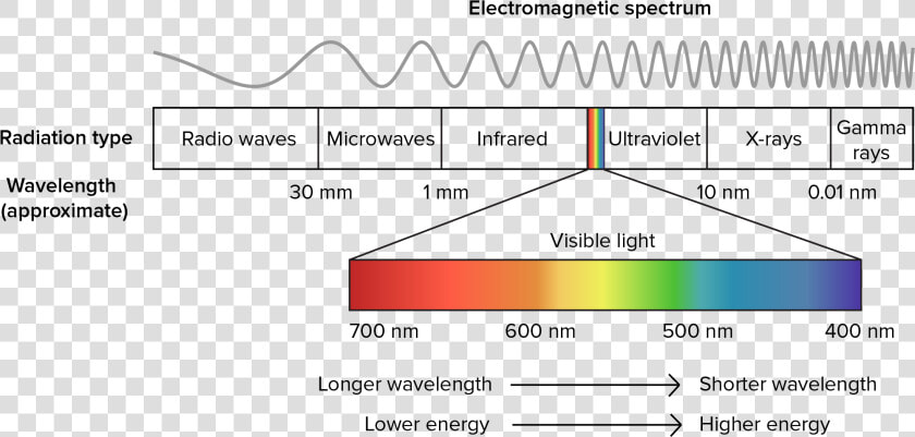 Electromagnetic Spectrum Png  Transparent PngTransparent PNG