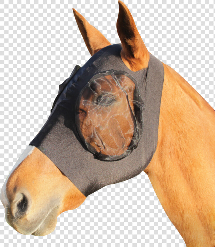 Masque Anti Mouche Cheval  HD Png DownloadTransparent PNG