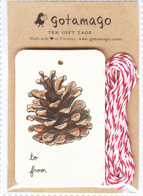 Pinecone Gift Tags  Set Of   Gift  HD Png DownloadTransparent PNG