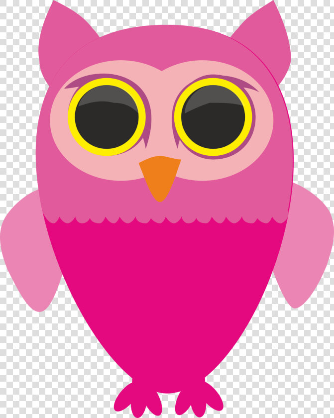 Gambar Kepala Burung Hantu Kartun  HD Png DownloadTransparent PNG