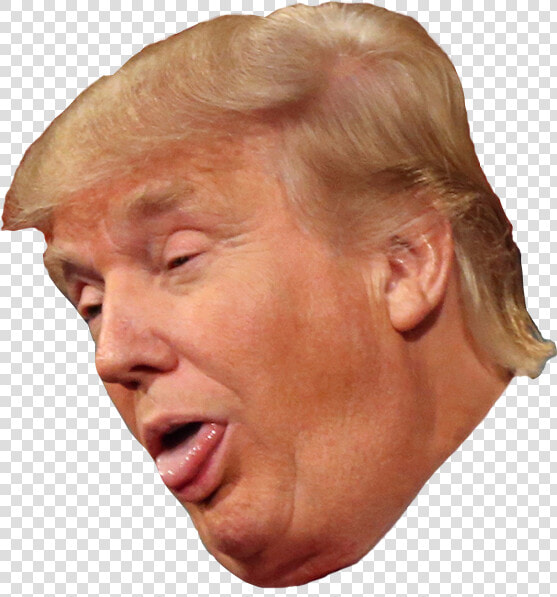 Donald Trump Clipart Head   Stupid Trump  HD Png DownloadTransparent PNG