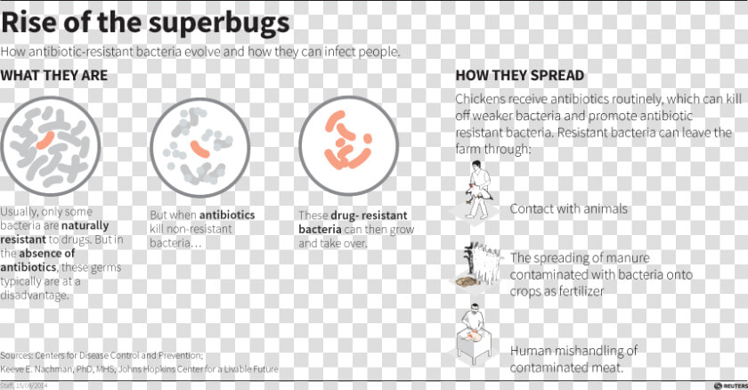 Resistant And Non Resistant Bacteria  HD Png DownloadTransparent PNG