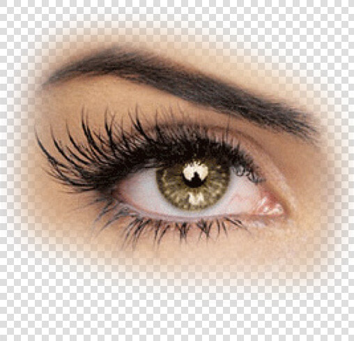 Lash Extensions Cat Eyes  HD Png DownloadTransparent PNG