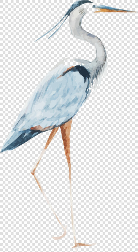 Heron Watercolor   Crane Bird Watercolor Transparent  HD Png DownloadTransparent PNG