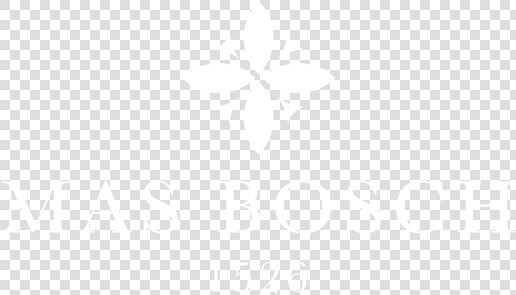 Bosch Logo Png   Johns Hopkins White Logo  Transparent PngTransparent PNG