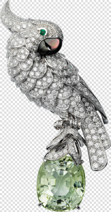 Cartier Fauna And Flora  HD Png DownloadTransparent PNG