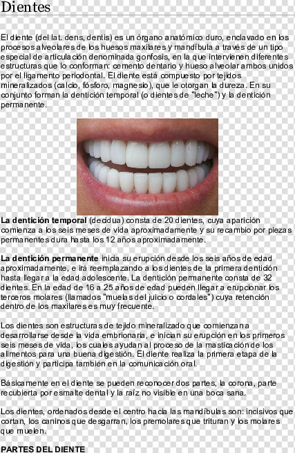 Cosmetic Dentistry  HD Png DownloadTransparent PNG