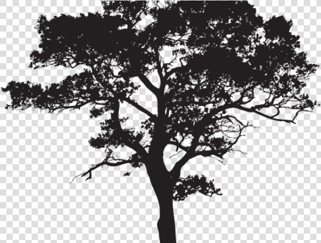 Shrub Silhouette Png  Transparent PngTransparent PNG